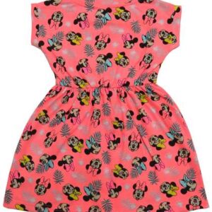 Clothe Funn Girls Cartoon Printed Fit and Flare Dr